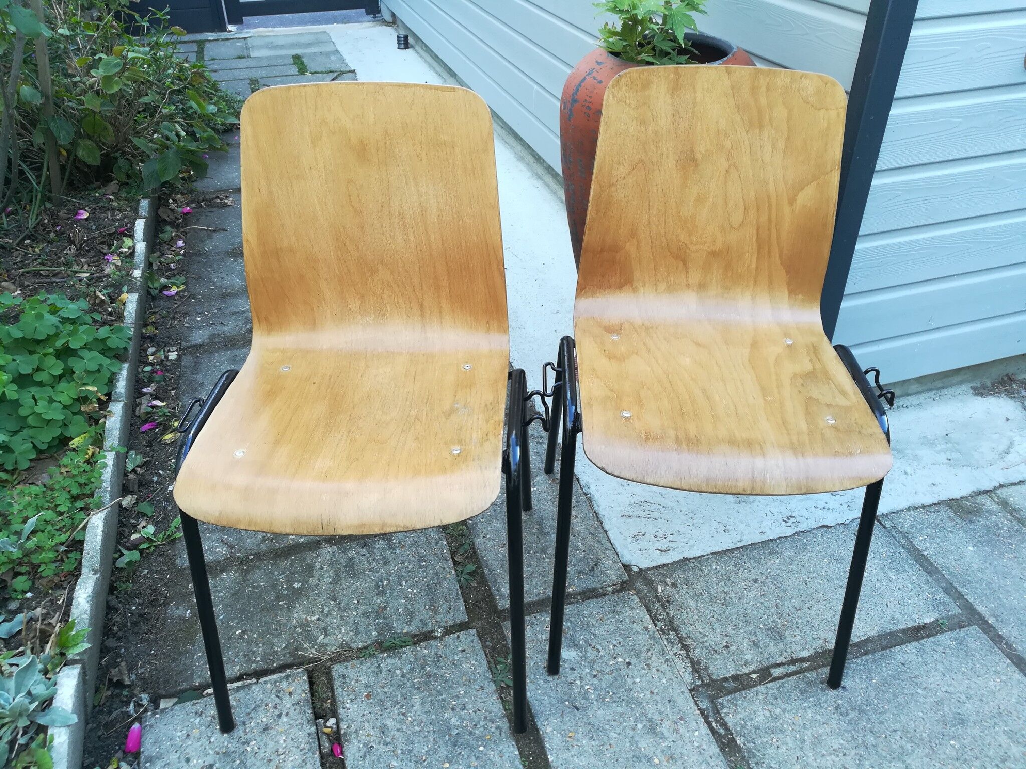 Set of 2 chairs 60