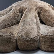 Edra Aster Papposus sofa by Fernando & Humberto Campana, Italy, 2006