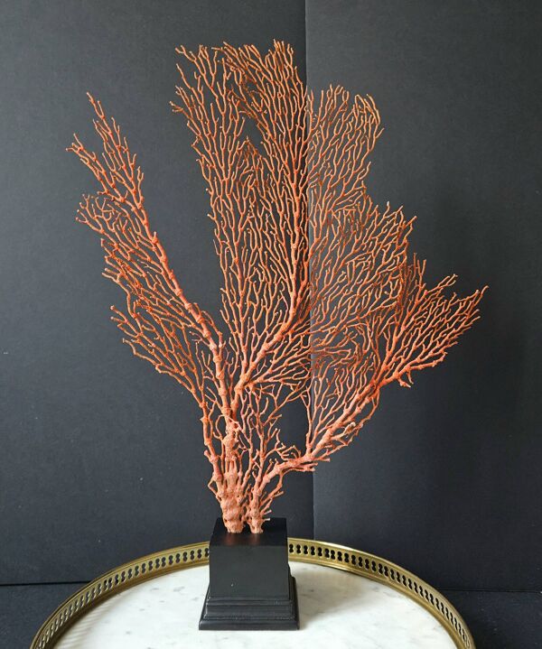 Gorgone Rouge XXL Socle en bois. H : 47 cm   Objet de Décoration l PlaceOdd