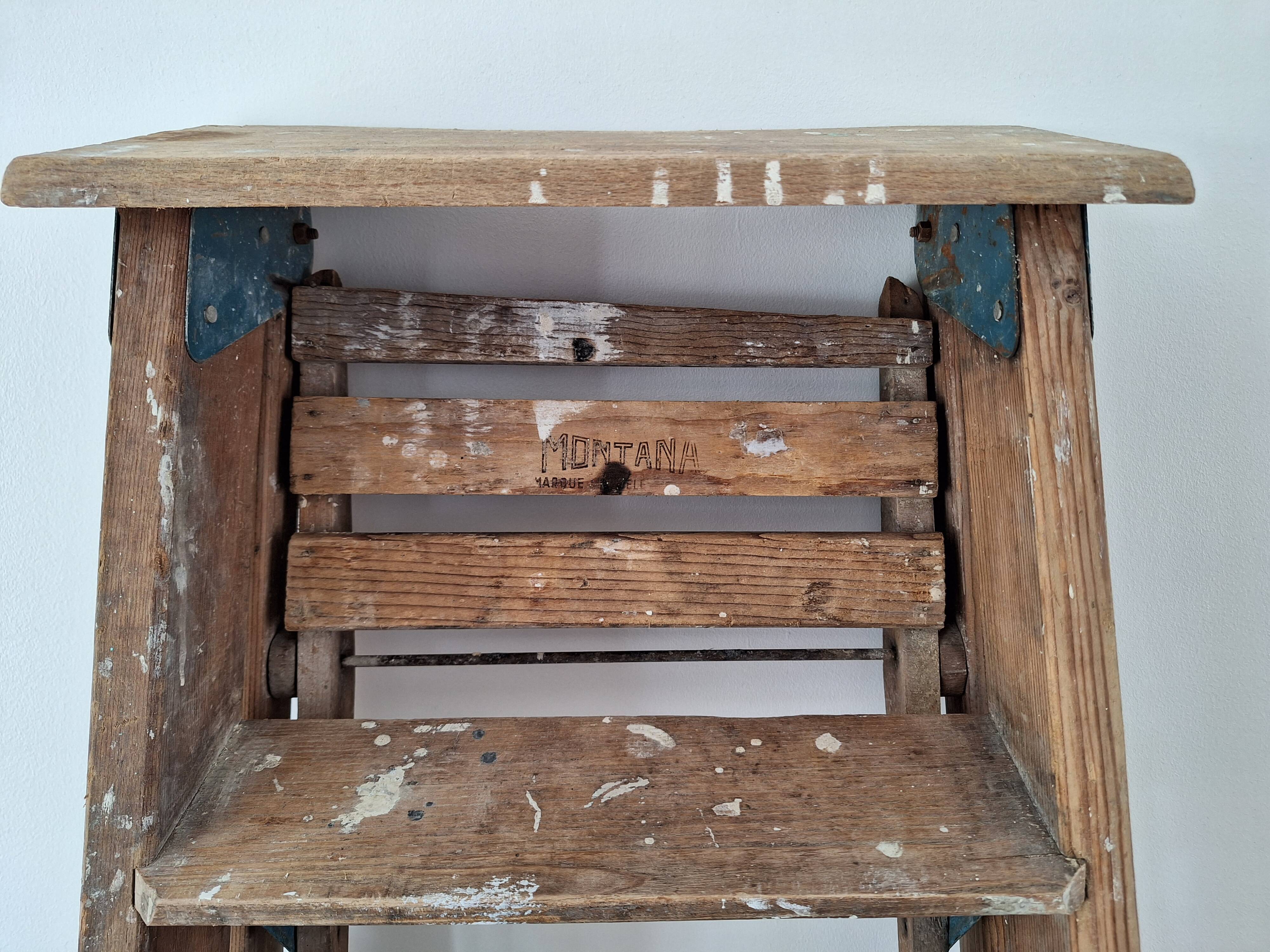 Montana painter's stepladder