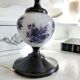 S.Reich patent crystal glass electrified oil lamp