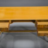 Desk & Sideboard Set by Georg Satink for Wk Möbel, 1950s, Set of 4