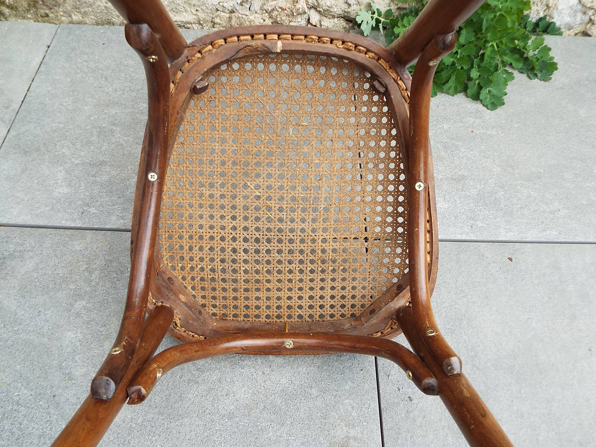 Bistro chair sitting canus