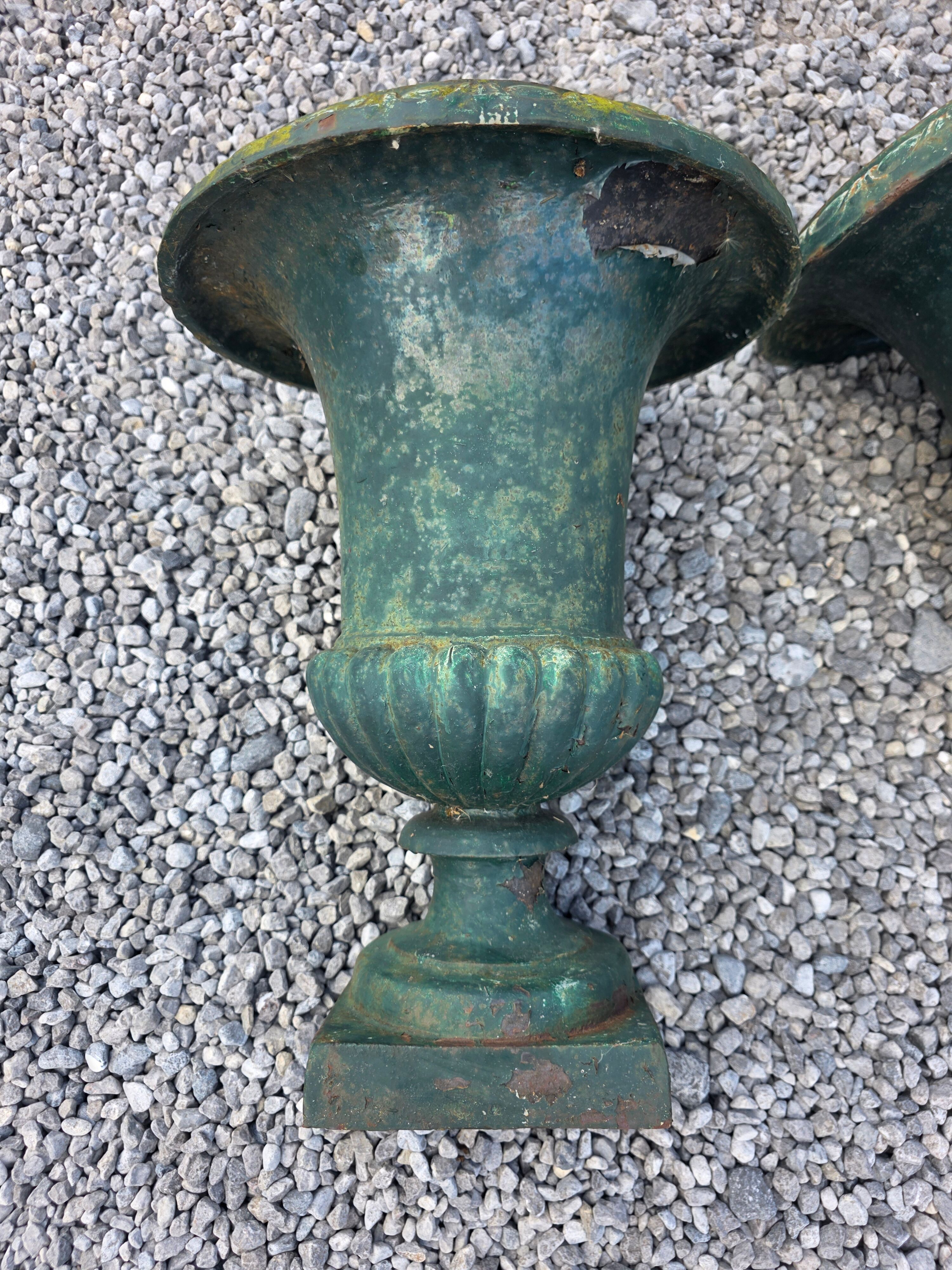 Pair of antique Medici vases in cast iron