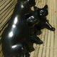 Lot de 4 chats noirs