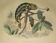 Original zoological plate of 1839 " cameleon & scinque "