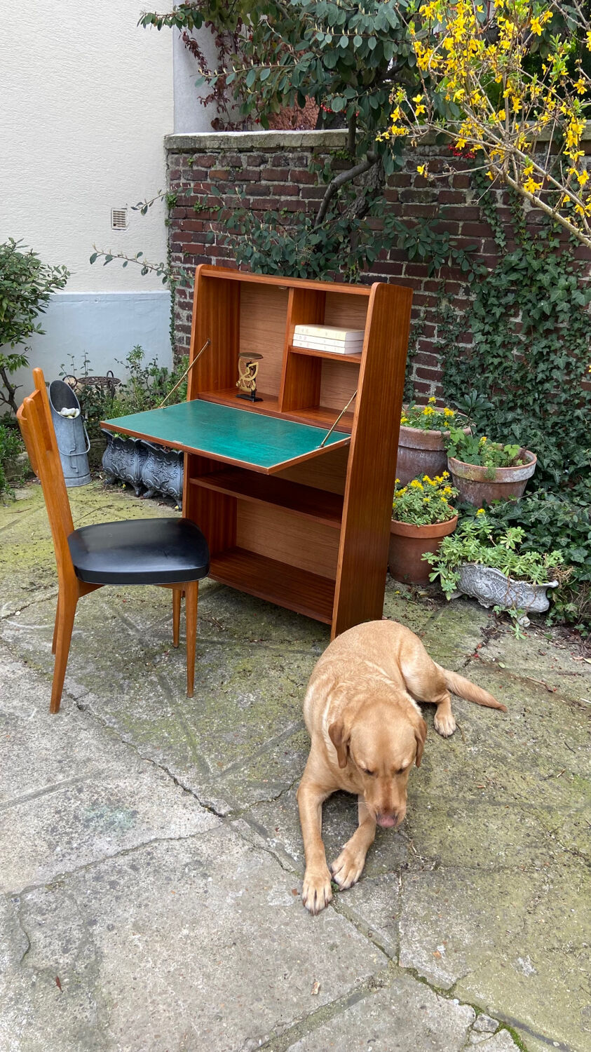 Vintage Secretary 1950 fin profile