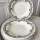 Set of 6 hollow earthenware plates New Givors model "RIta" 30s