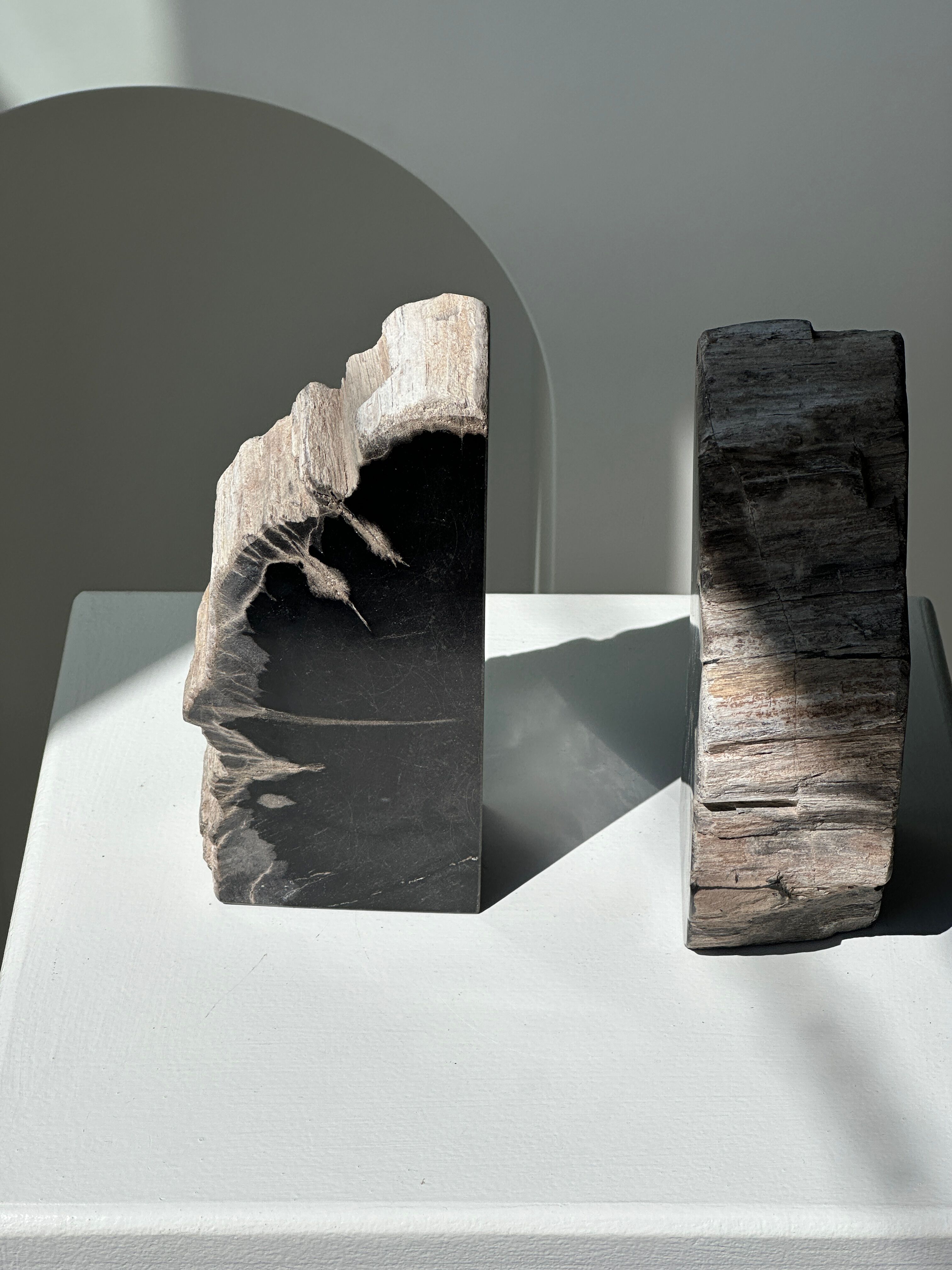 Black petrified wood bookend H17 L17 P6