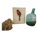Table Illustration of a bird - The Trogon