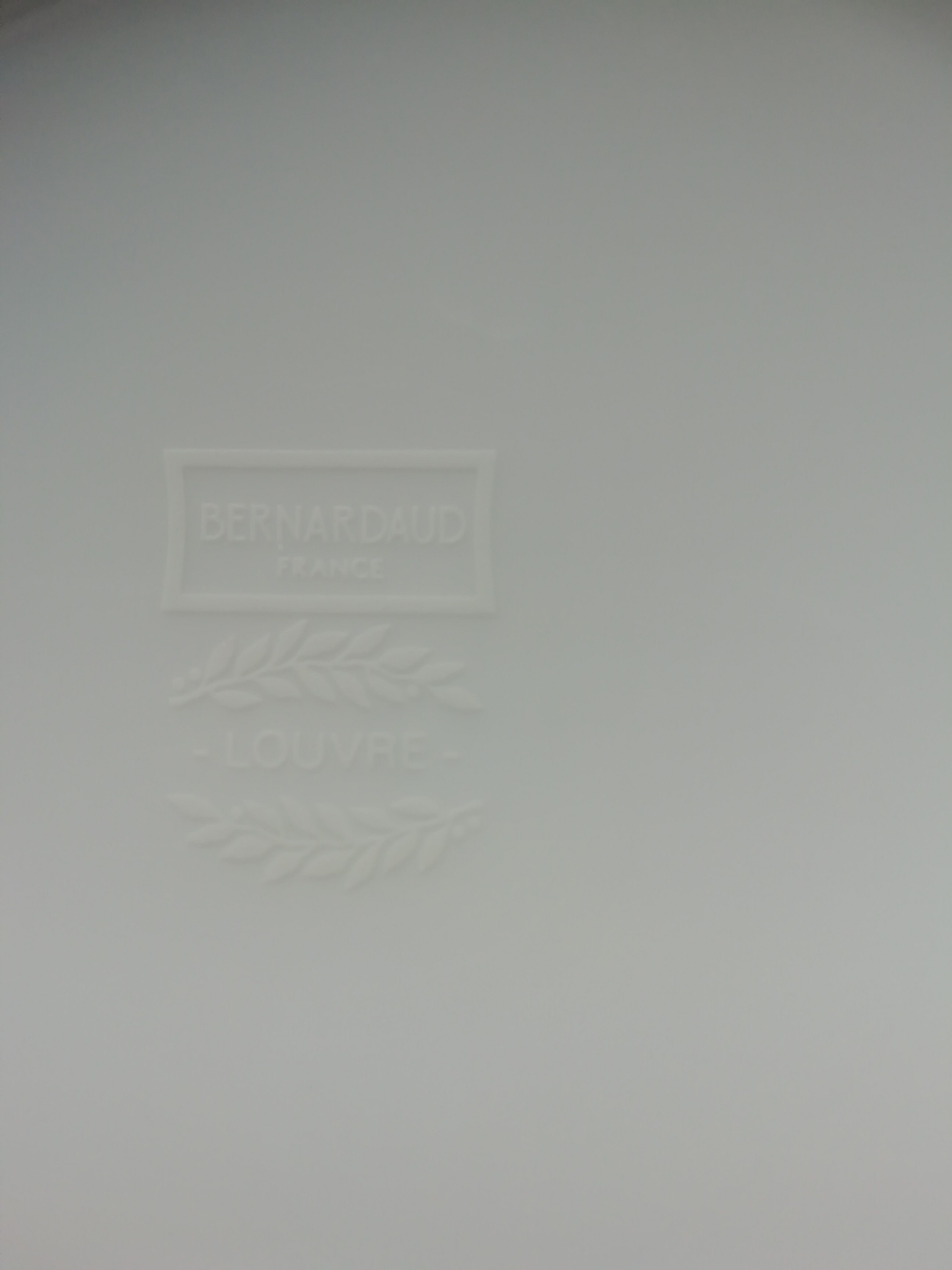 Soup bernardaud Limoges Louvre