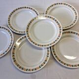 6 Villeroy & Boch dinner plates in good condition
