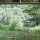 Antique mercury mirror. (Fireplace mirror)