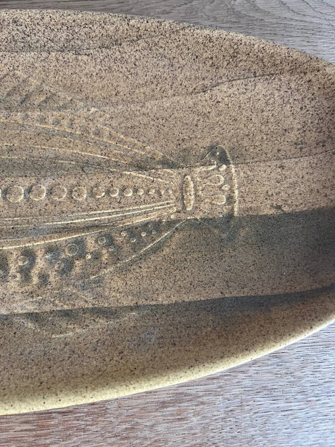 Dish