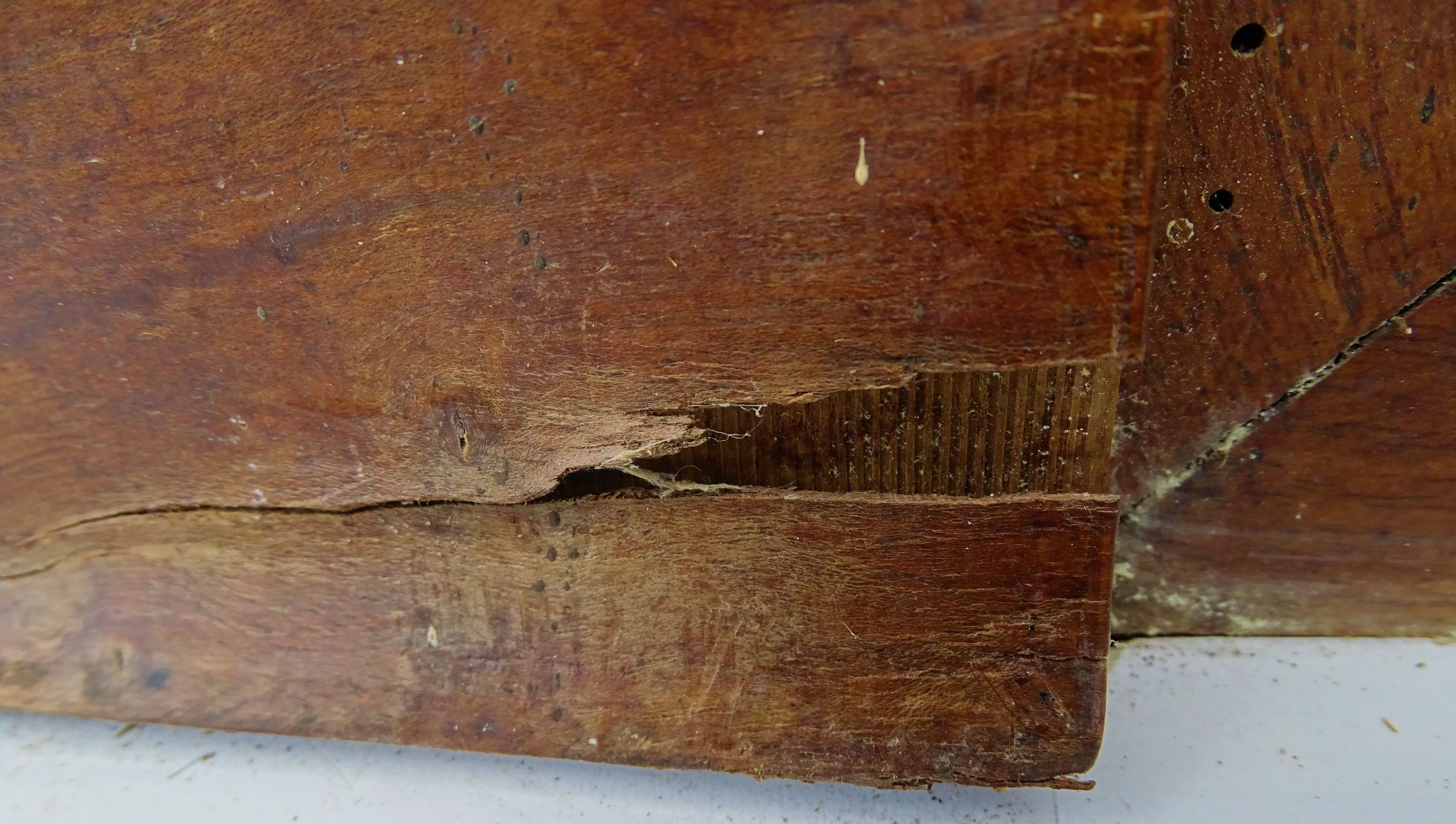Pair of antique cabinet doors