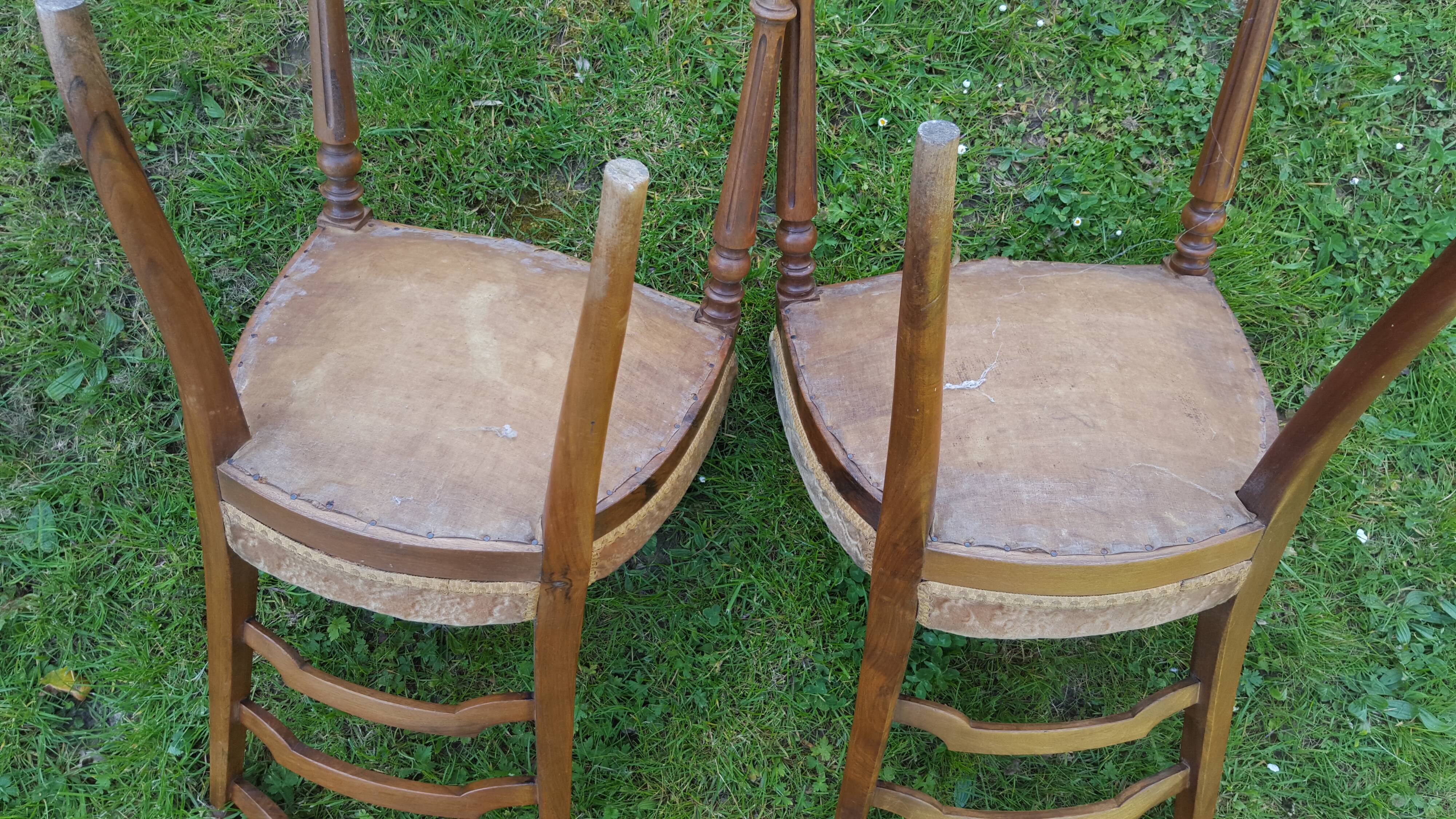 Pair of Napoleon III style chairs