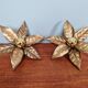 Pair of floral wall sconces in brass, design by Willy Daro, 1970.
