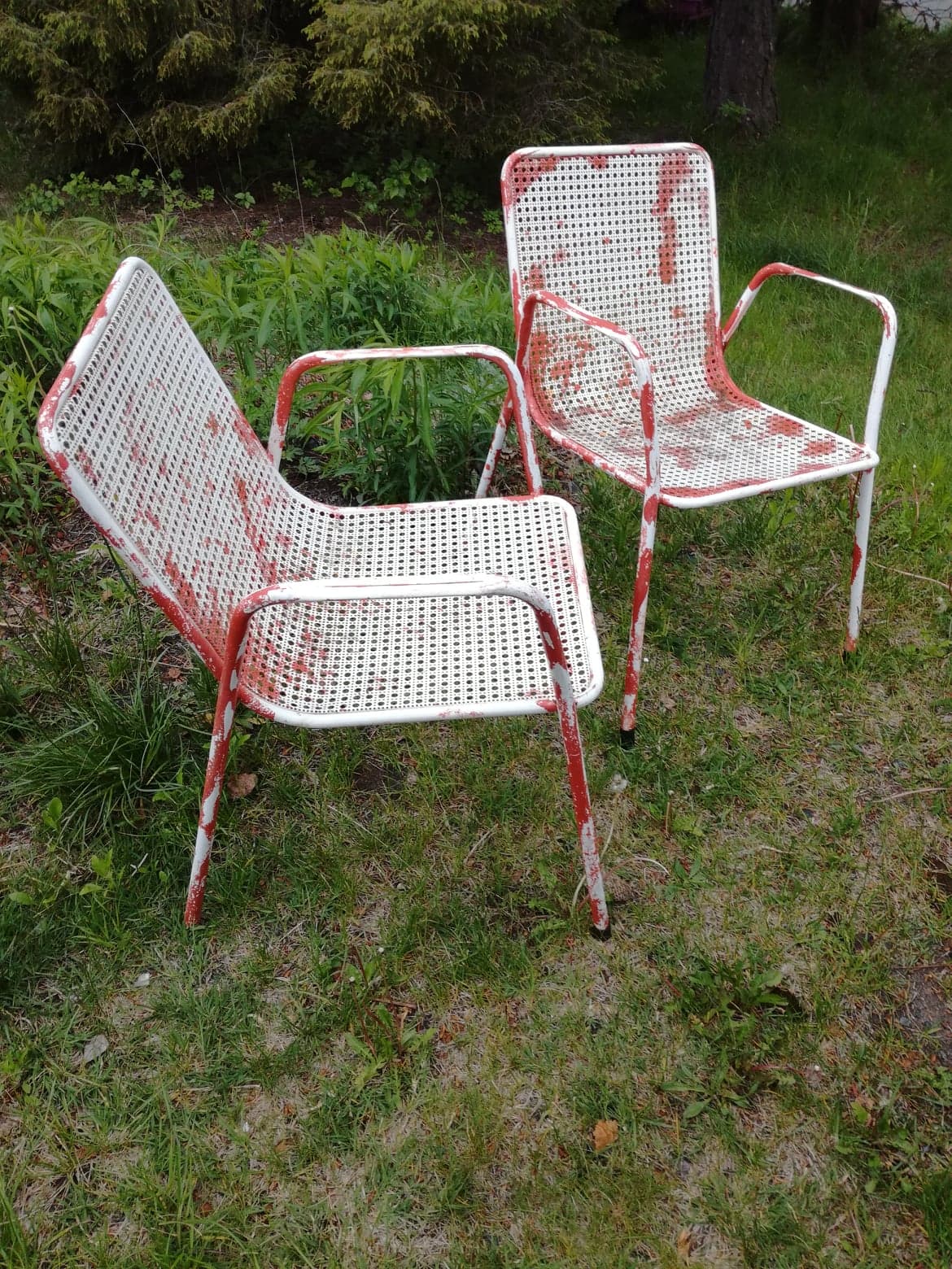 Pair of armchairs EMU 1950