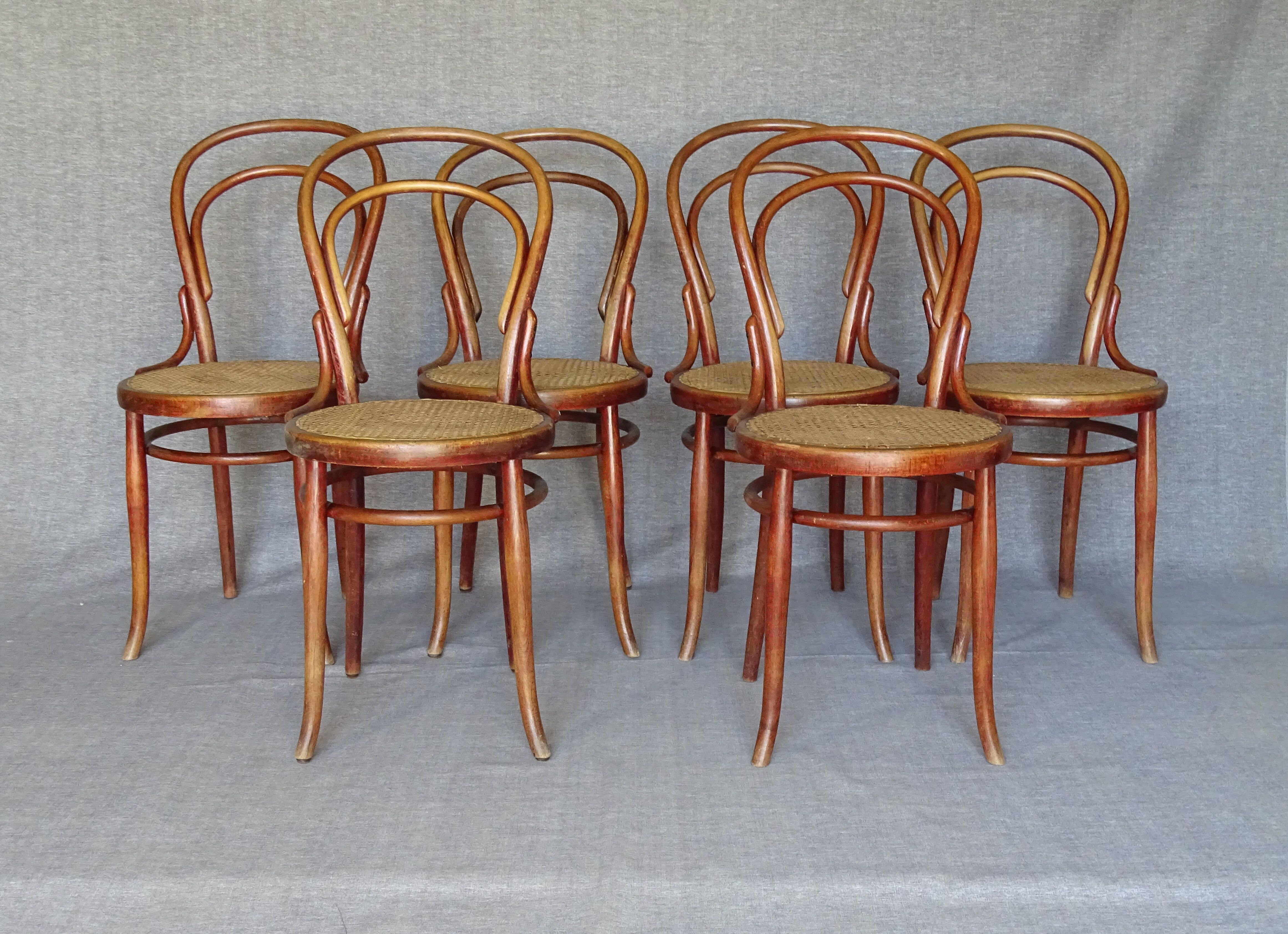 6 bistro chairs N° 14 canned, by Turpe Dresden 1890