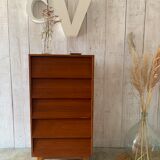 Rag picker with finned drawers