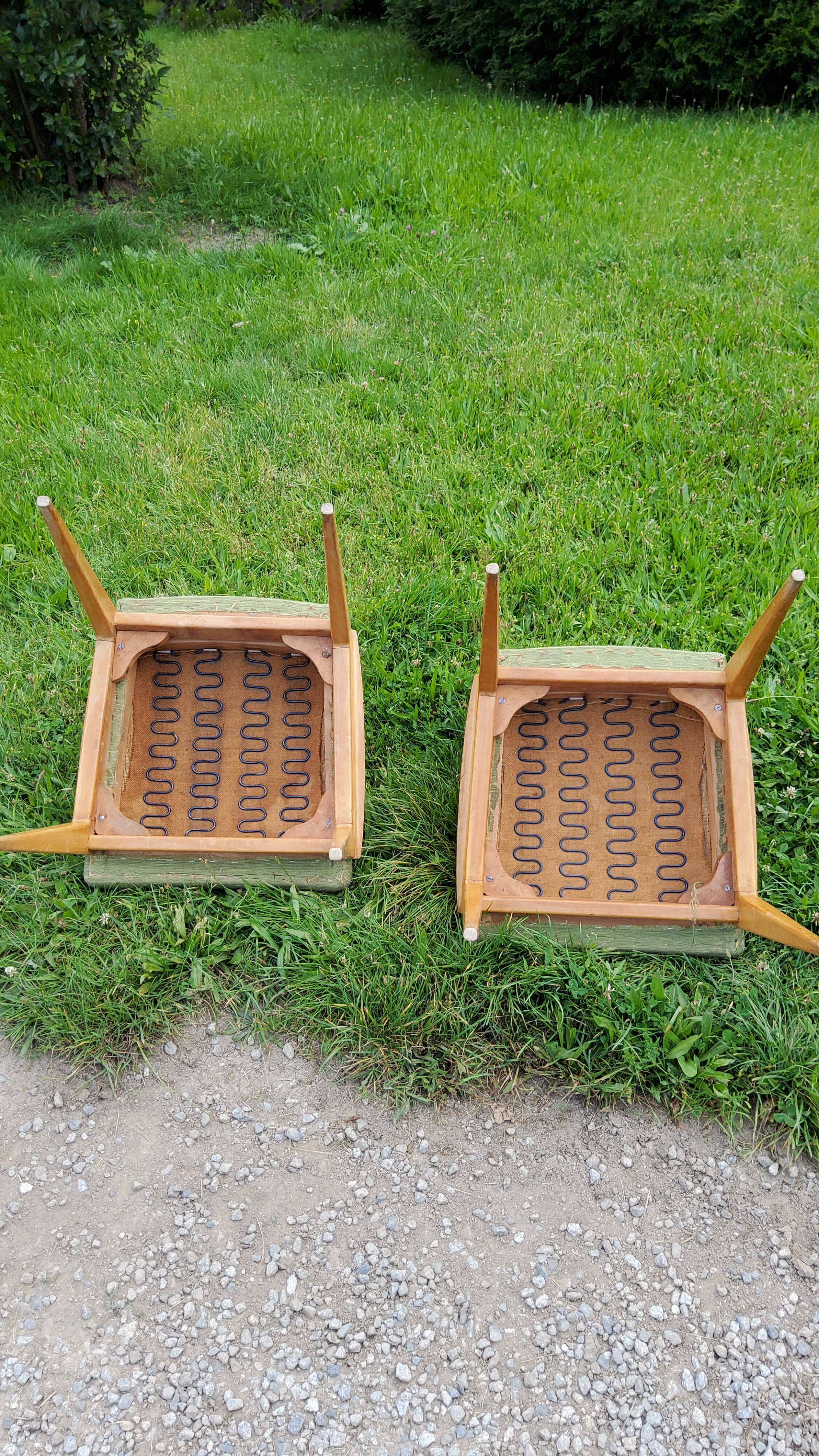 Pair of chairs from the 50s in sycamore tinted beech