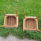 Pair of chairs from the 50s in sycamore tinted beech