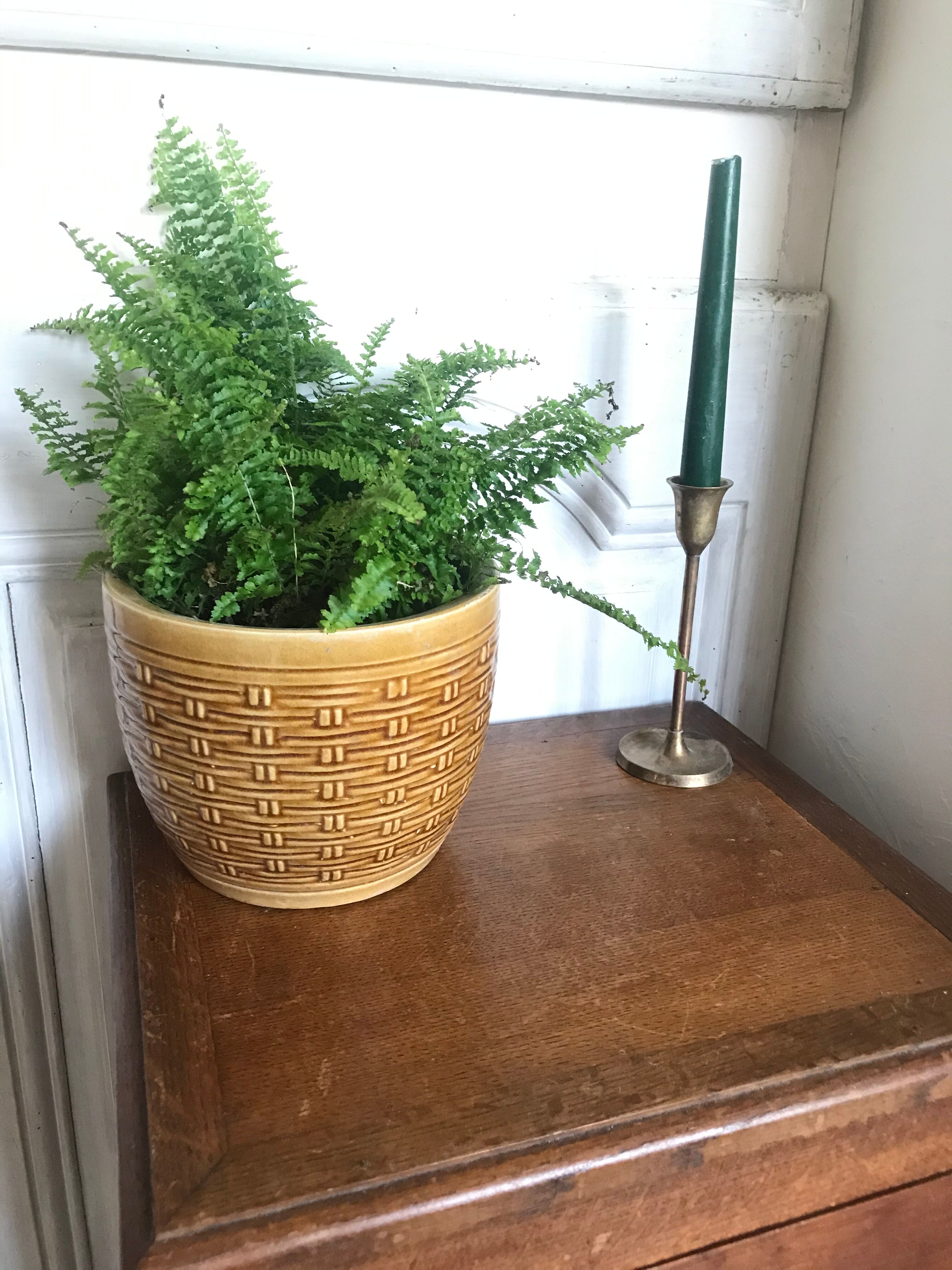 Vintage ceramic pot cover