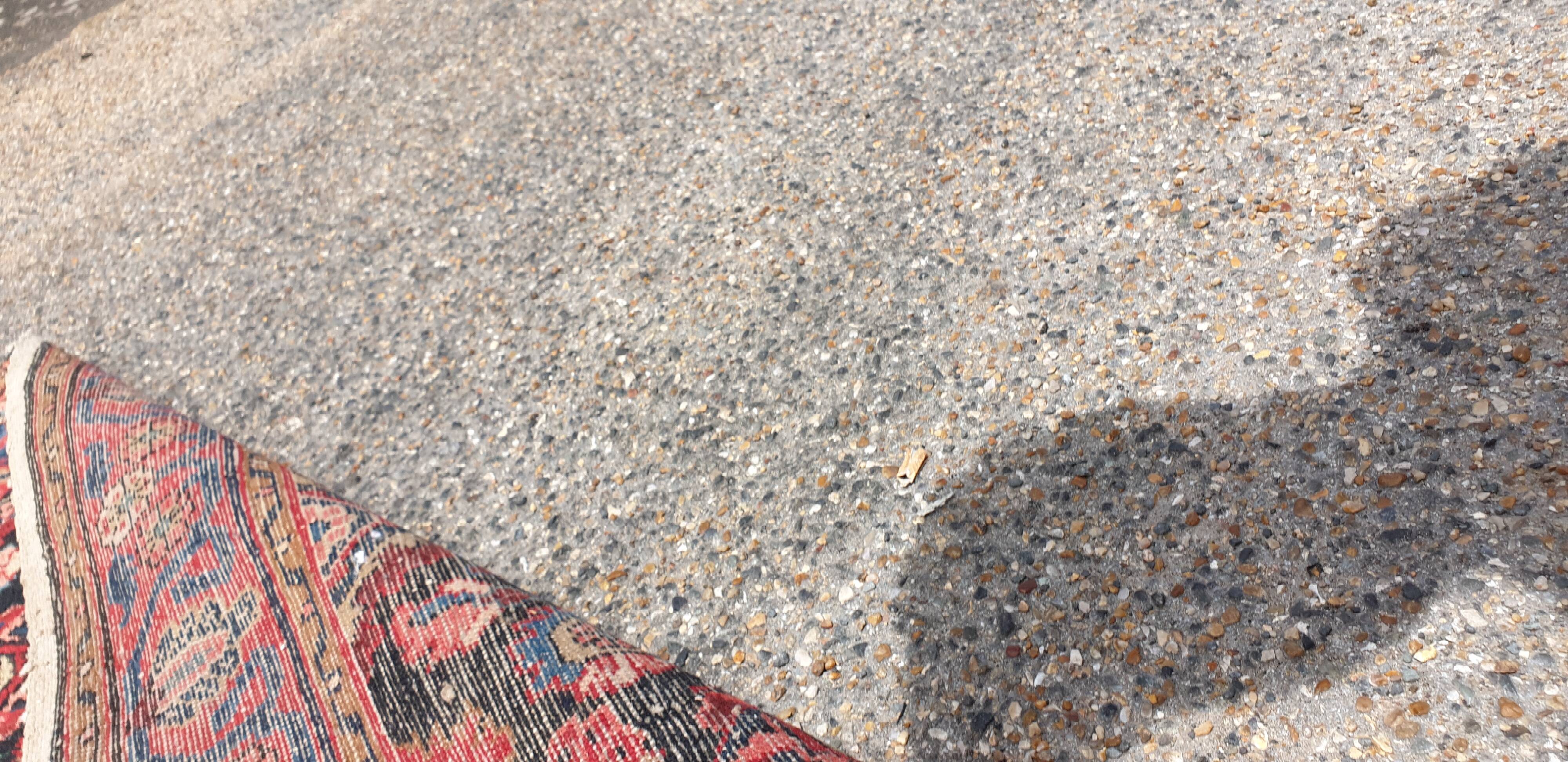 Oriental carpet wool