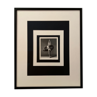 Cirque du soleil richard avedon