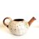 Pyrite sandstone teapot Jean Pierre Prudhomme, 1960