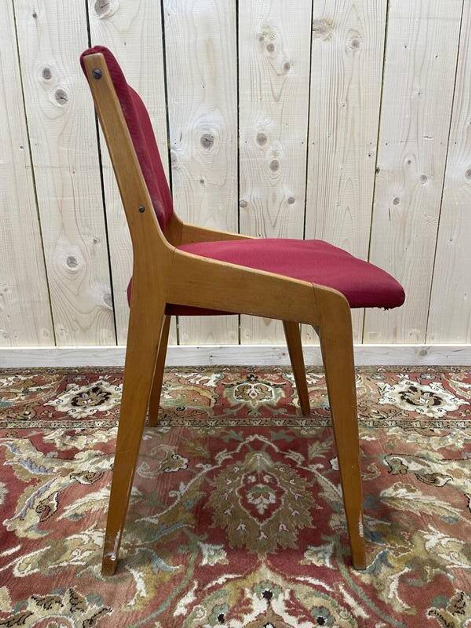 Suite de 6 chaises 1950 en hêtre massif