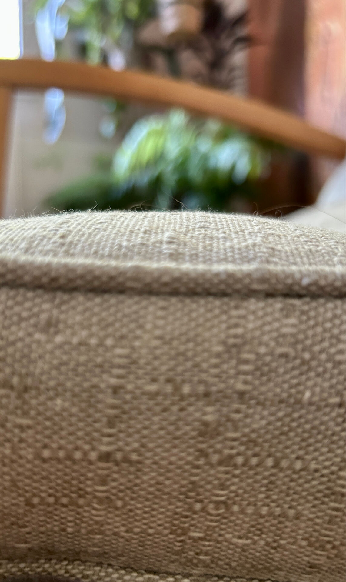 Free-Span FS 123 Armchair – France, 1954