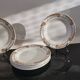 Series of 6 Saint Amand flat plates Ceranord France