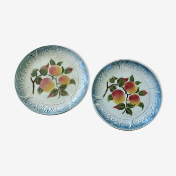 Plates in dabbling fruit decoration
