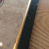 Painting on paper of Amate birds and flowers