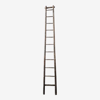 Painter's ladder