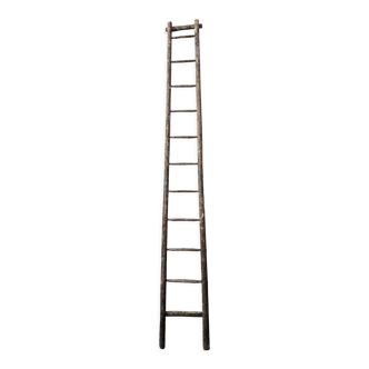 Painter's ladder