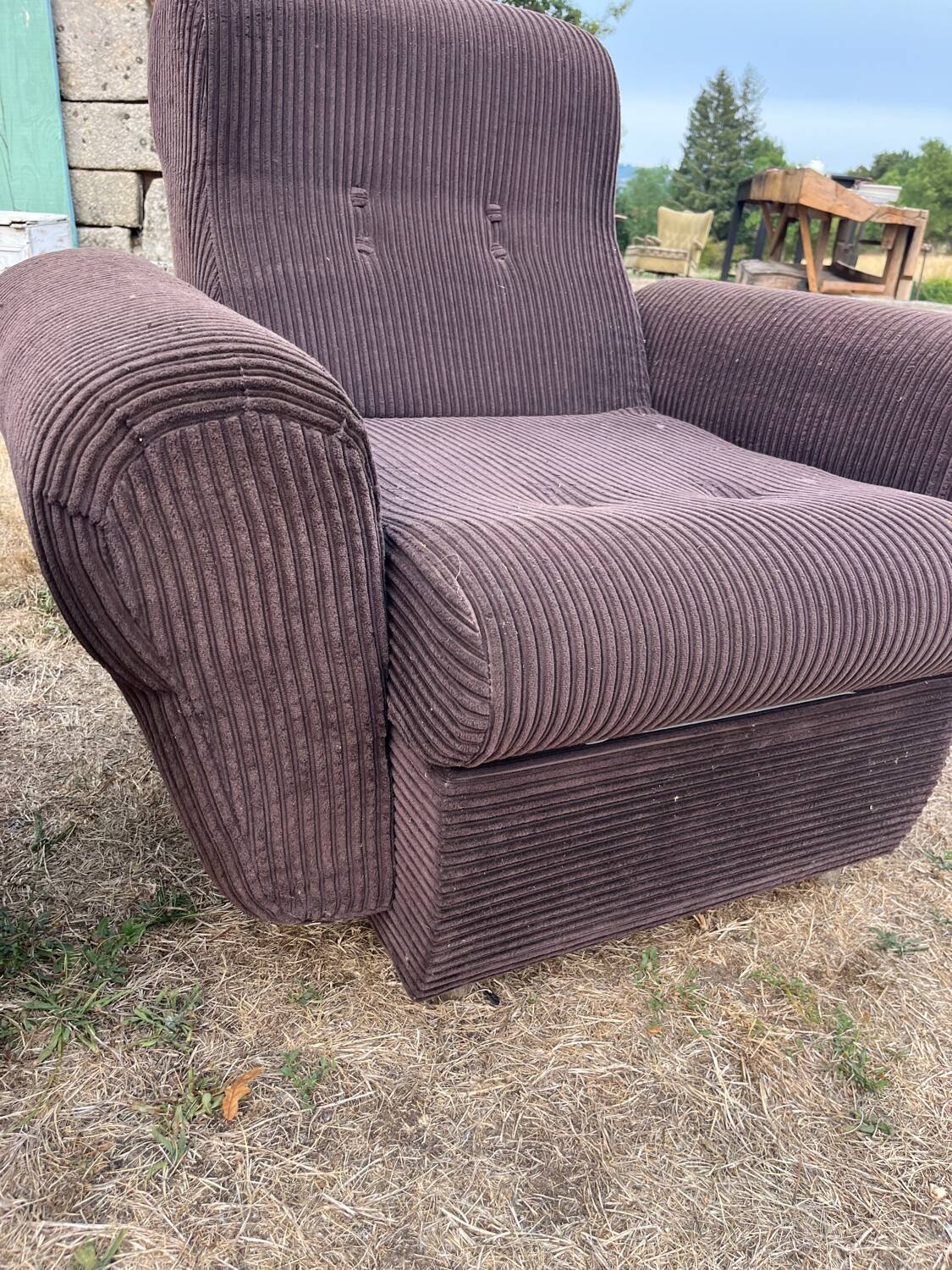 Fauteuils velours