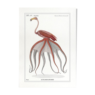 Chimera lithograph animal engraving - the pink flamoulpe