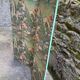 Wooden screen in Asian style, covered with Chinese wallpaper.