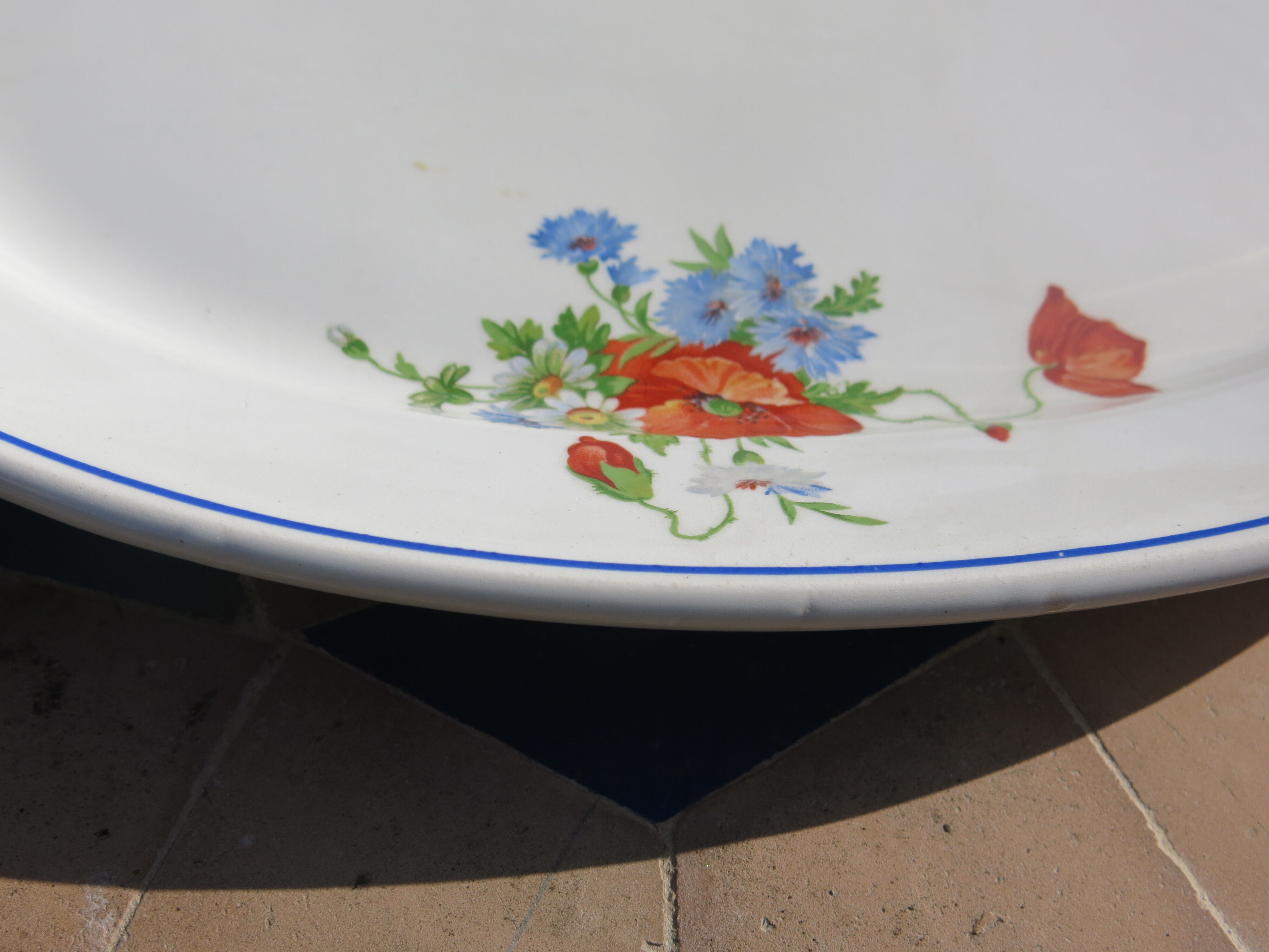 Serving dish/delight Salins les Bains poppy pattern