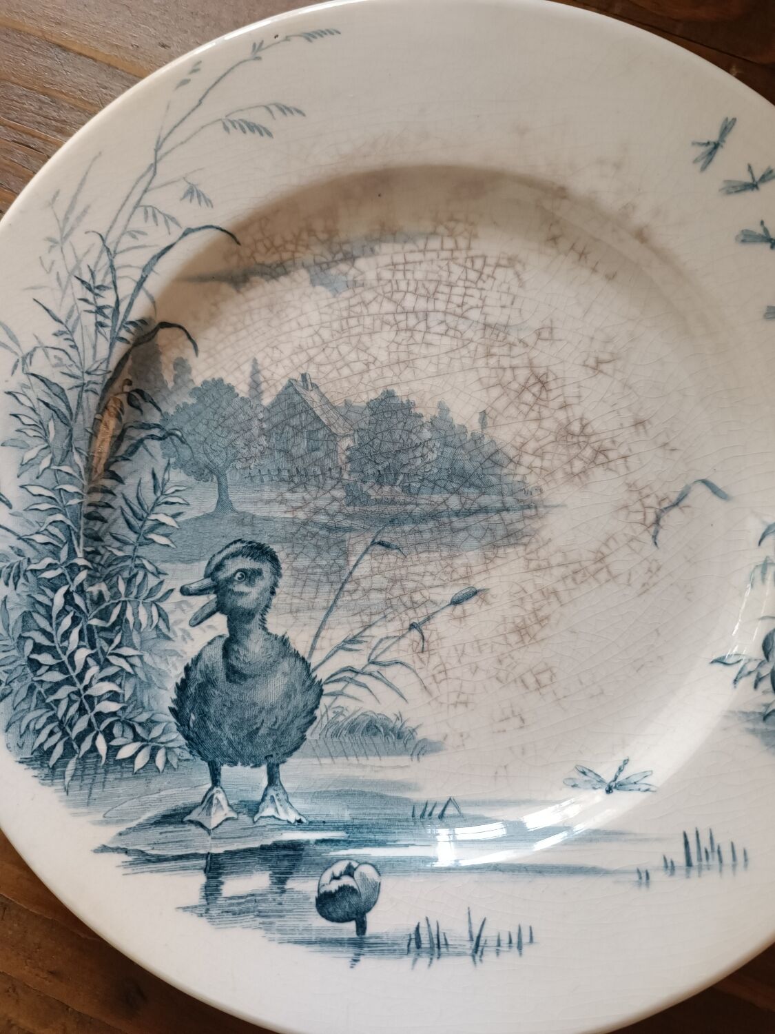 4 plates iron earth Gien model Ducks
