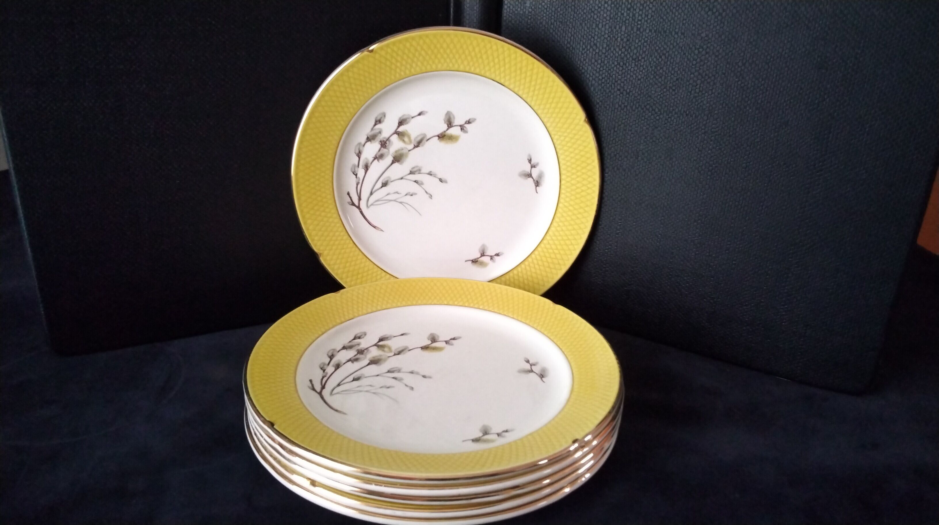 Set of 6 dessert plates Salins France
