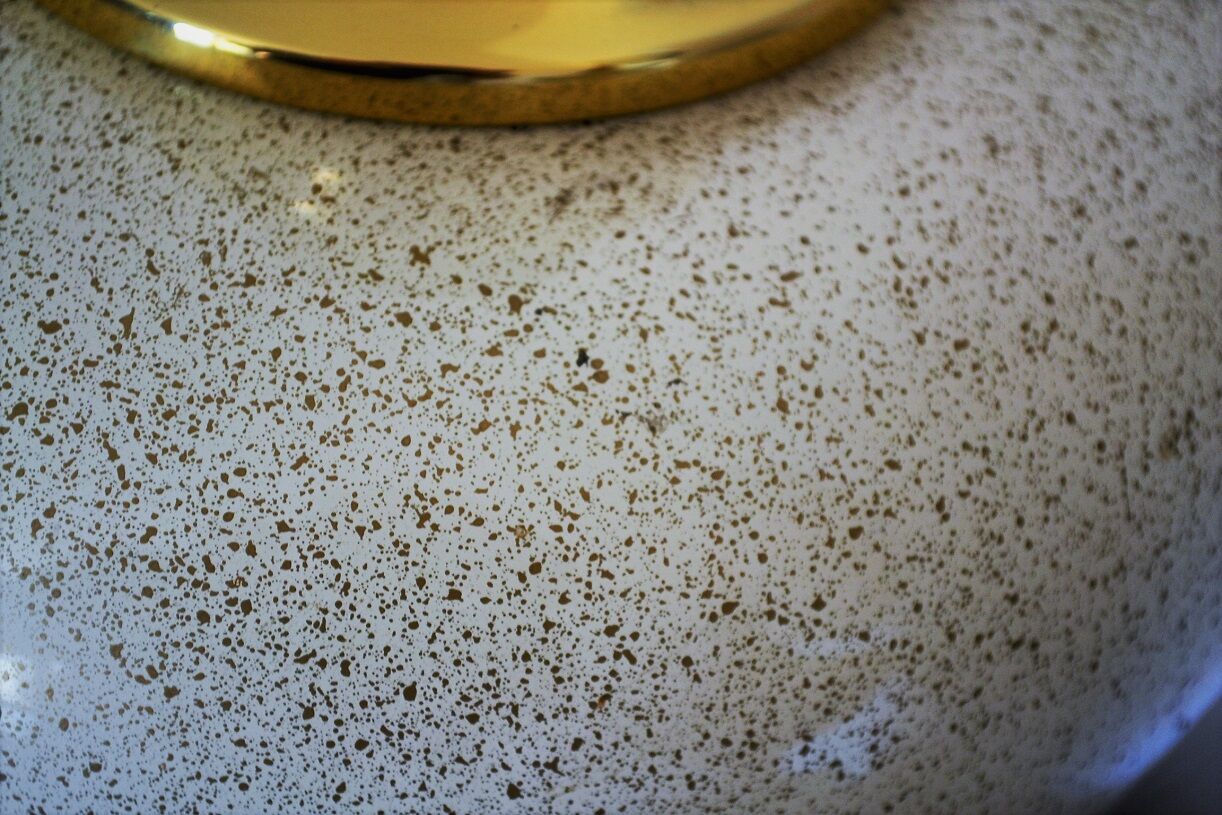 The dolphin "oricourt" table lamp