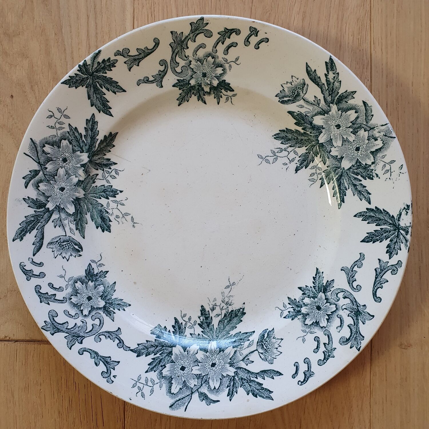 Anemone Iron Earth Plate