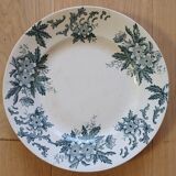 Anemone Iron Earth Plate