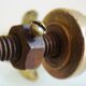 Door knocker with stopper and Maltese cross, solid brass dolphin