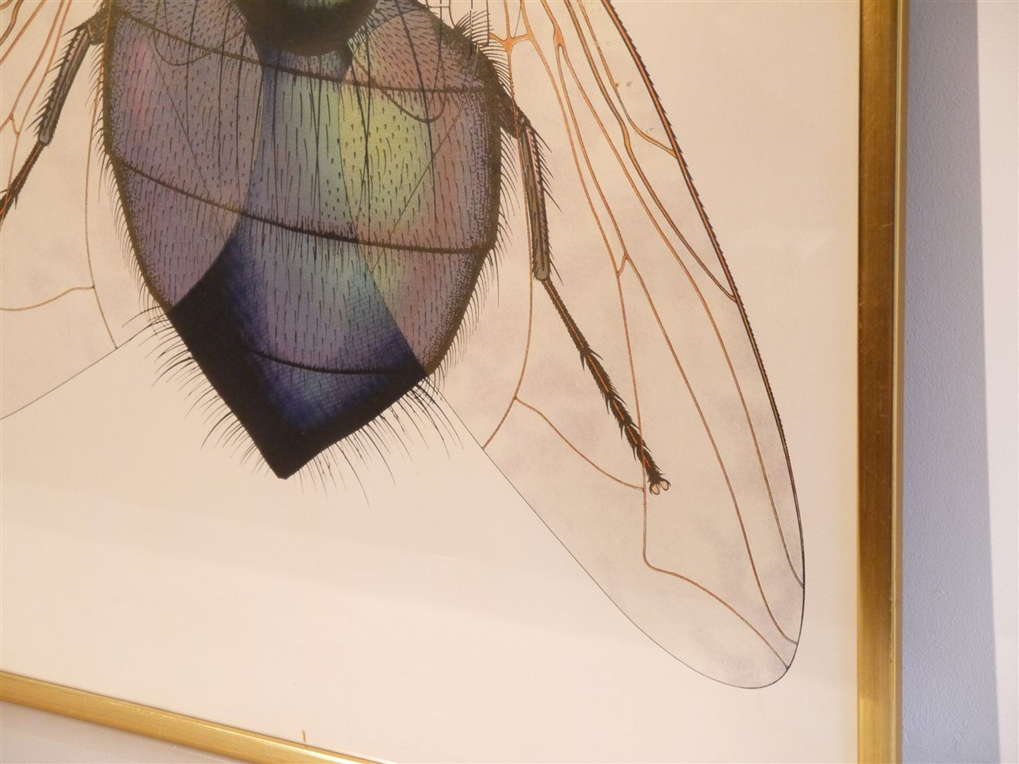 Serigraphie vintage de Anders Osterlin
