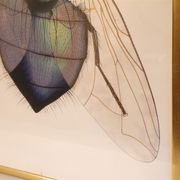 Serigraphie vintage de Anders Osterlin