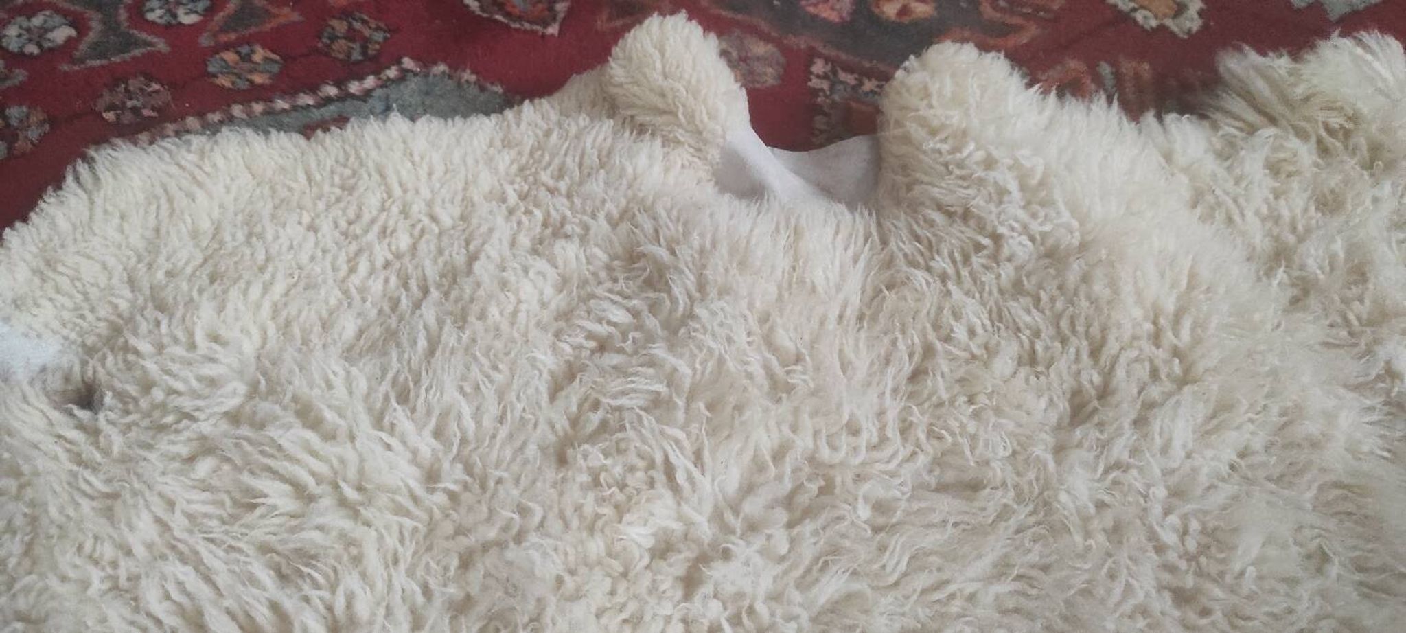 Peau de mouton